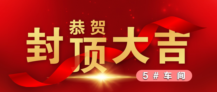 熱烈祝賀5#車間封頂大吉！